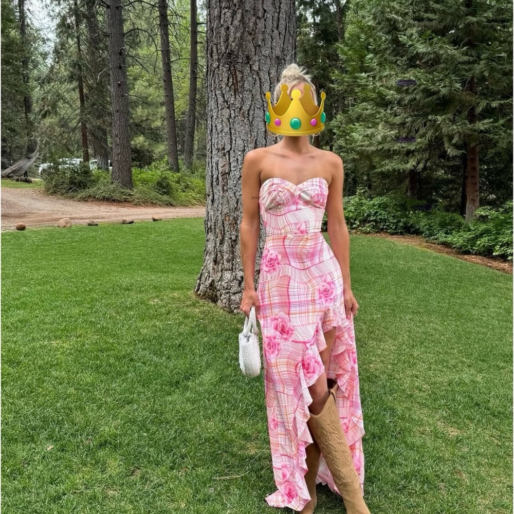 Amanda Uprichard REVOLVE Eden Gown in Aerial Rose XS